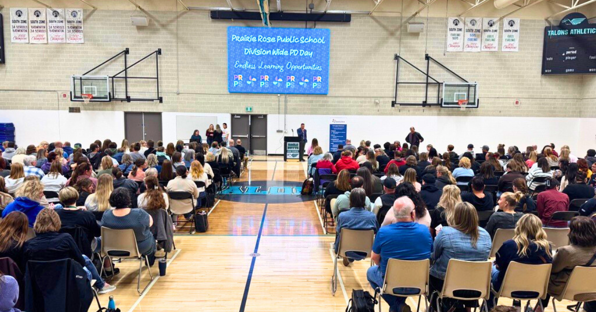 Digital Screen NEWS 2